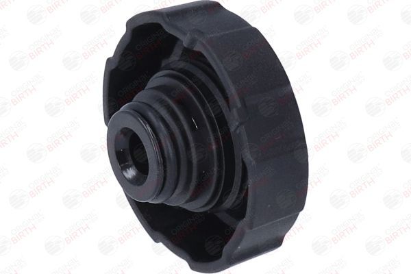 Dangtelis, radiatorius BIRTH 80700