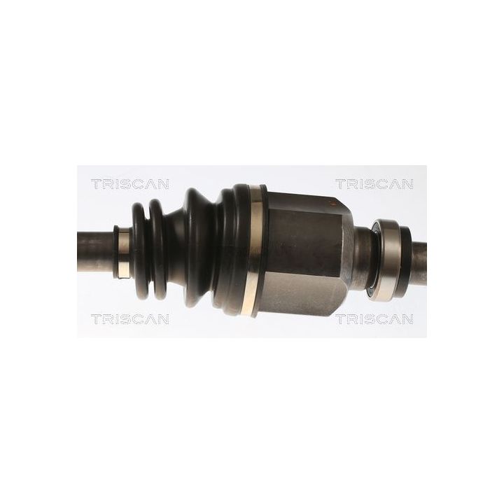 Pusašis TRISCAN 8540 10556