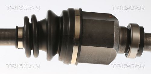 Pusašis TRISCAN 8540 10556