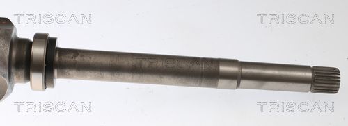 Pusašis TRISCAN 8540 10556