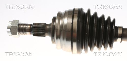 Pusašis TRISCAN 8540 10557