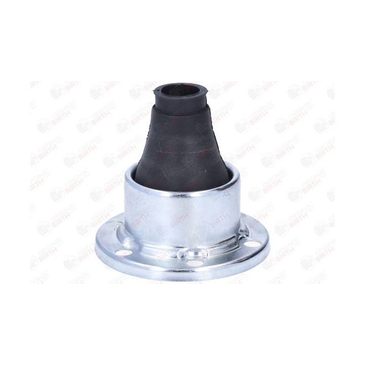 Gofruotoji membrana, kardaninis velenas BIRTH 70040