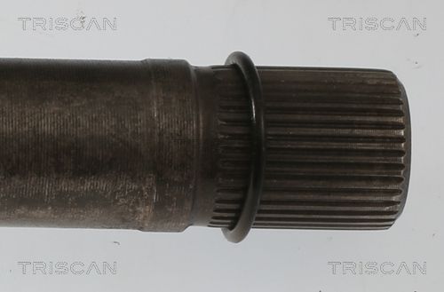 Pusašis TRISCAN 8540 10558