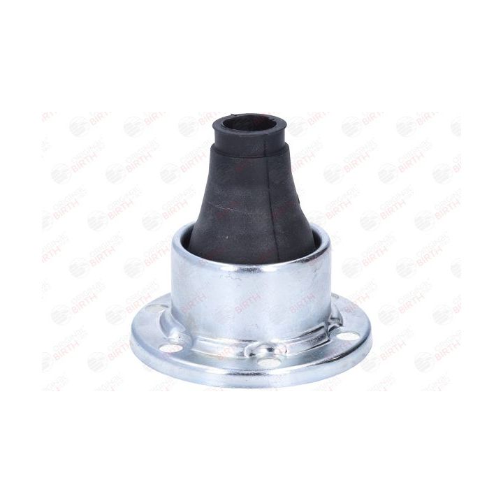 Gofruotoji membrana, kardaninis velenas BIRTH 70040