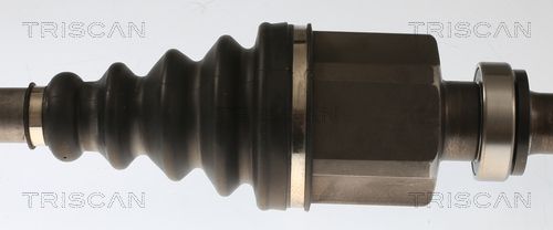 Pusašis TRISCAN 8540 10562