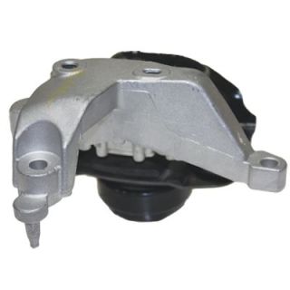 Variklio montavimas BIRTH 52219