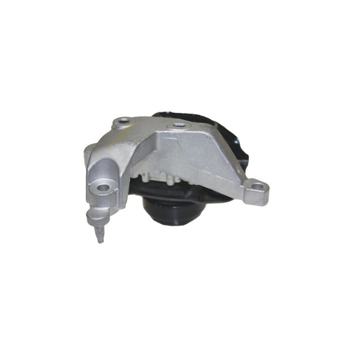 Variklio montavimas BIRTH 52219