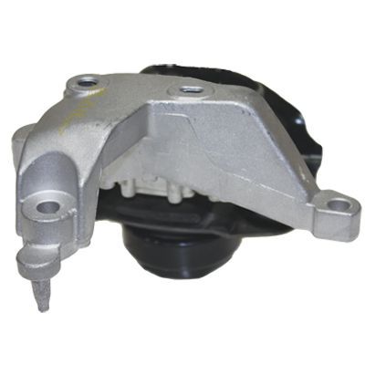 Variklio montavimas BIRTH 52219