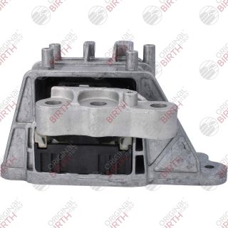 Variklio montavimas BIRTH 53797