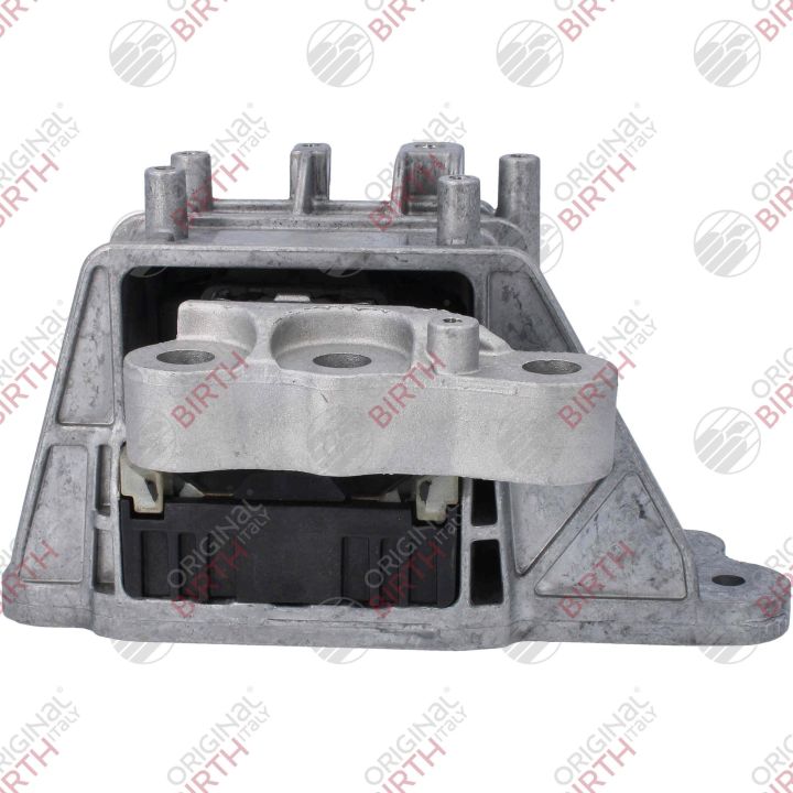 Variklio montavimas BIRTH 53797