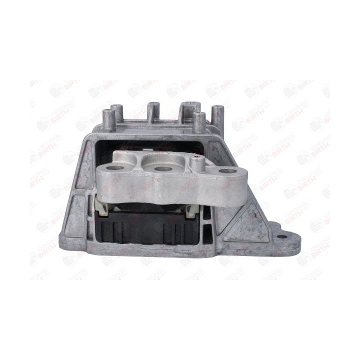 Variklio montavimas BIRTH 53797