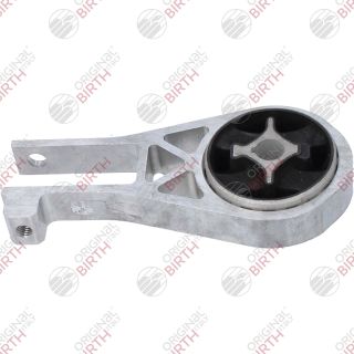 Variklio montavimas BIRTH 53798