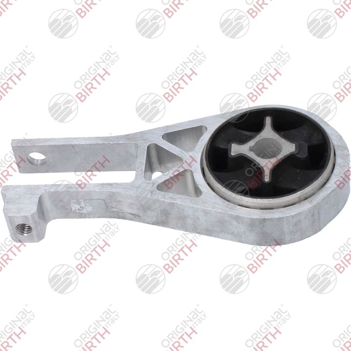 Variklio montavimas BIRTH 53798