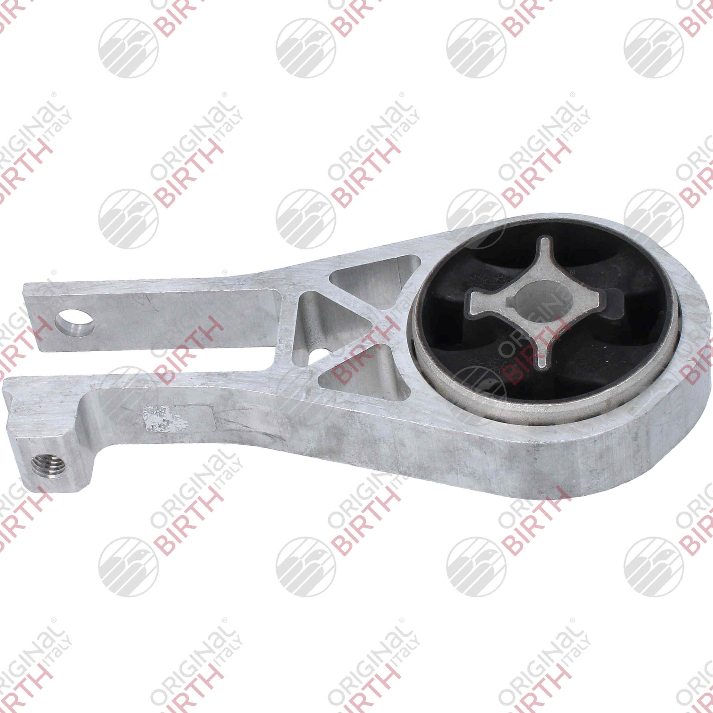 Variklio montavimas BIRTH 53798