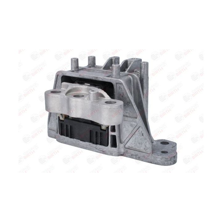 Variklio montavimas BIRTH 53797