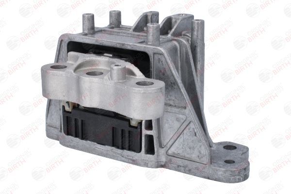 Variklio montavimas BIRTH 53797