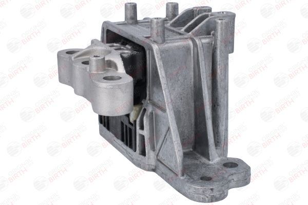 Variklio montavimas BIRTH 53797