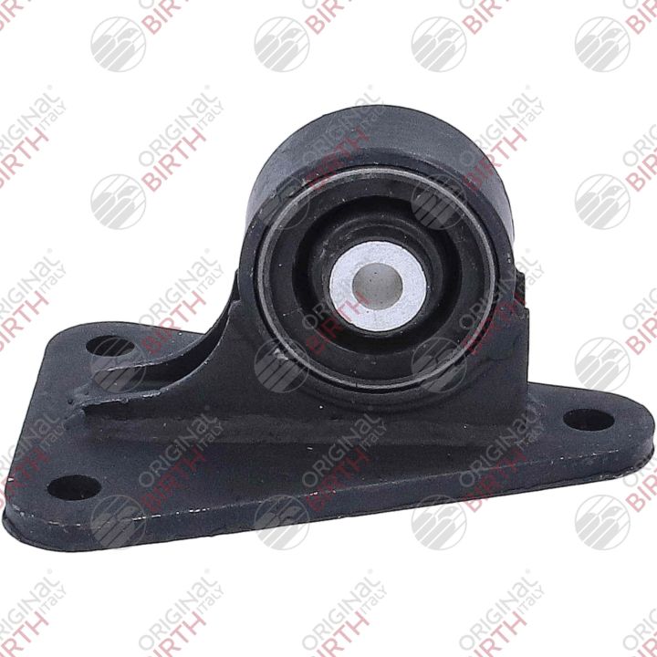 Variklio montavimas BIRTH 57072