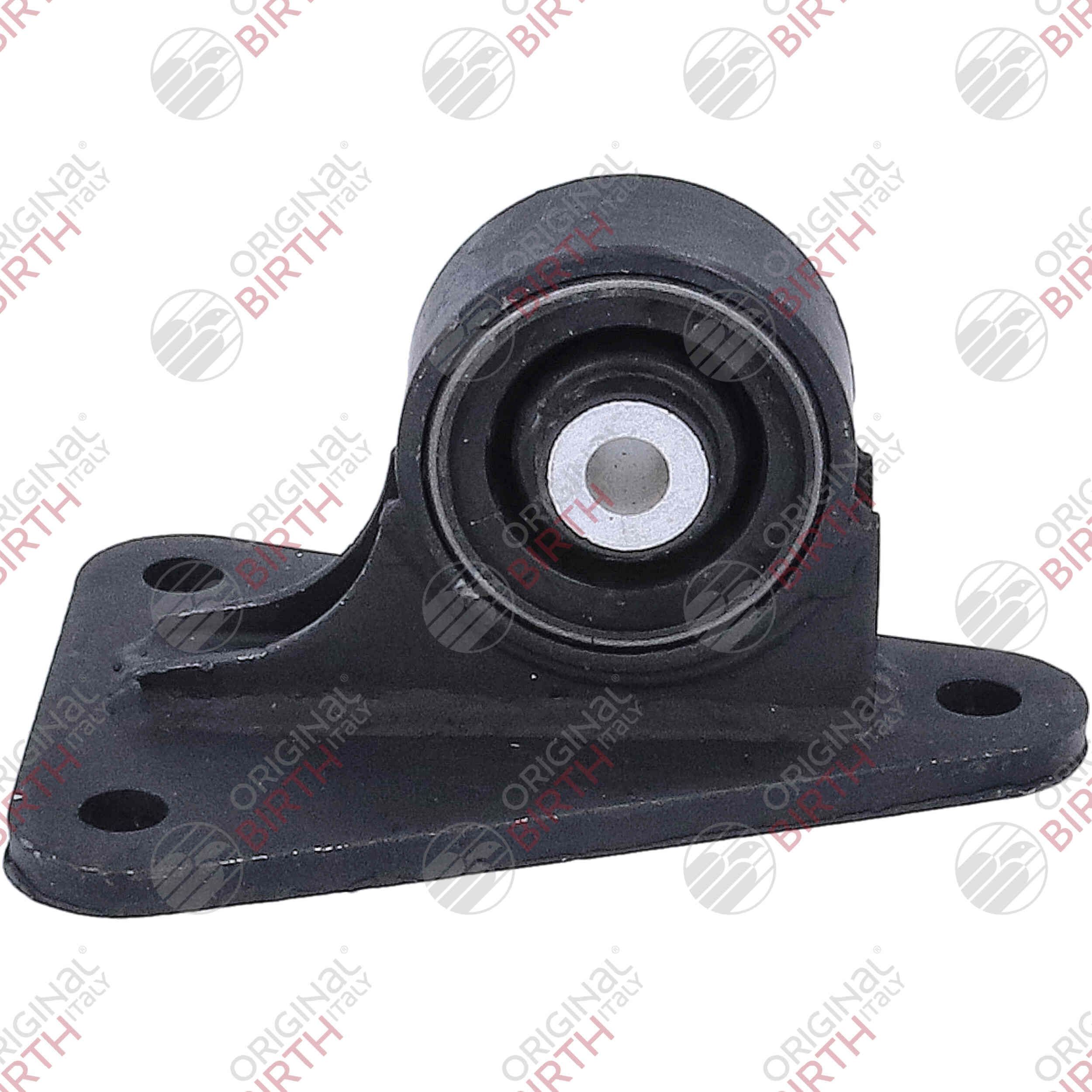 Variklio montavimas BIRTH 57072