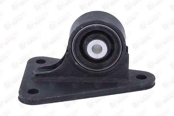 Variklio montavimas BIRTH 57072