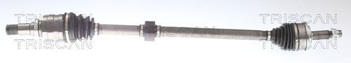 Pusašis TRISCAN 8540 13584