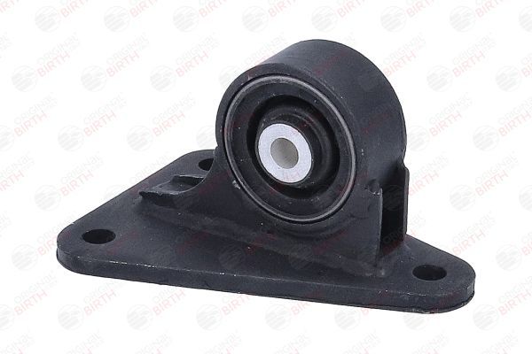 Variklio montavimas BIRTH 57072