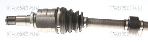 Pusašis TRISCAN 8540 13584