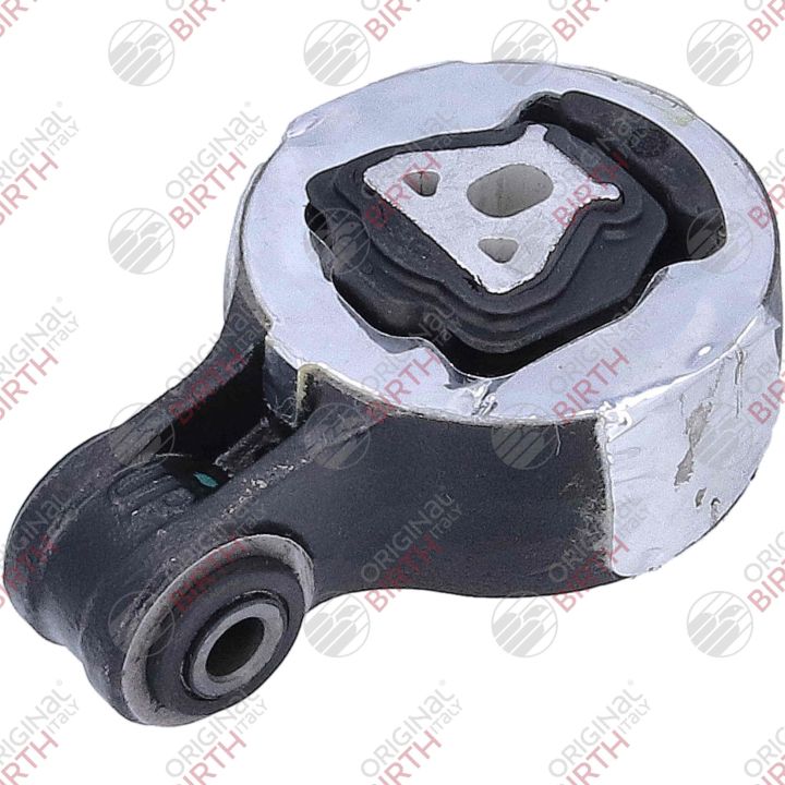 Variklio montavimas BIRTH 57073