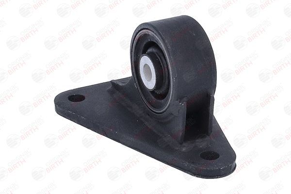 Variklio montavimas BIRTH 57072