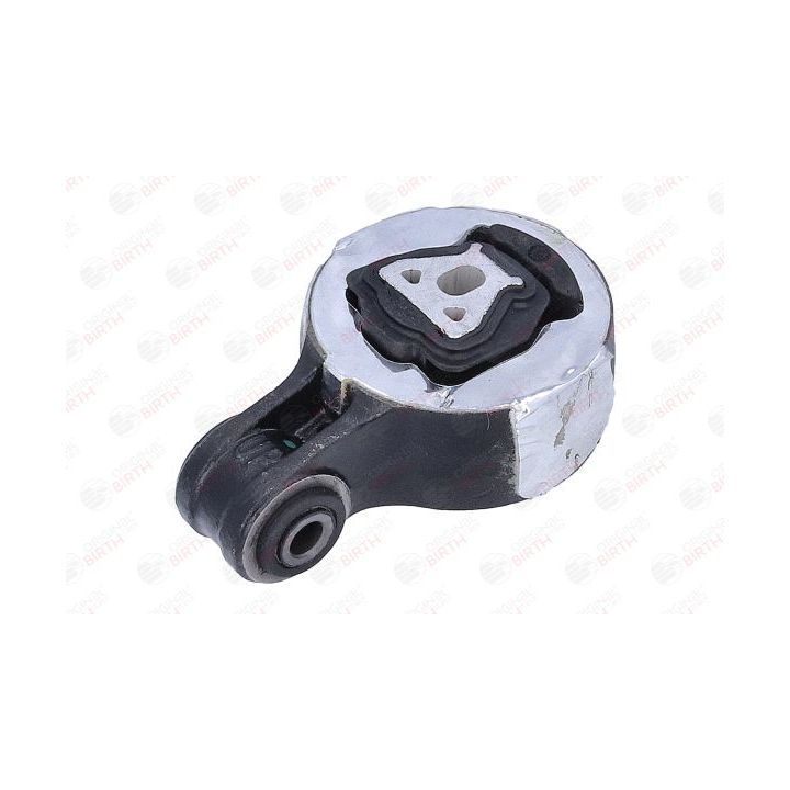 Variklio montavimas BIRTH 57073