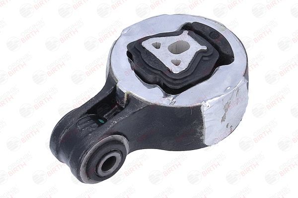 Variklio montavimas BIRTH 57073