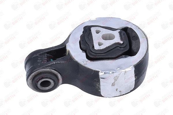 Variklio montavimas BIRTH 57073