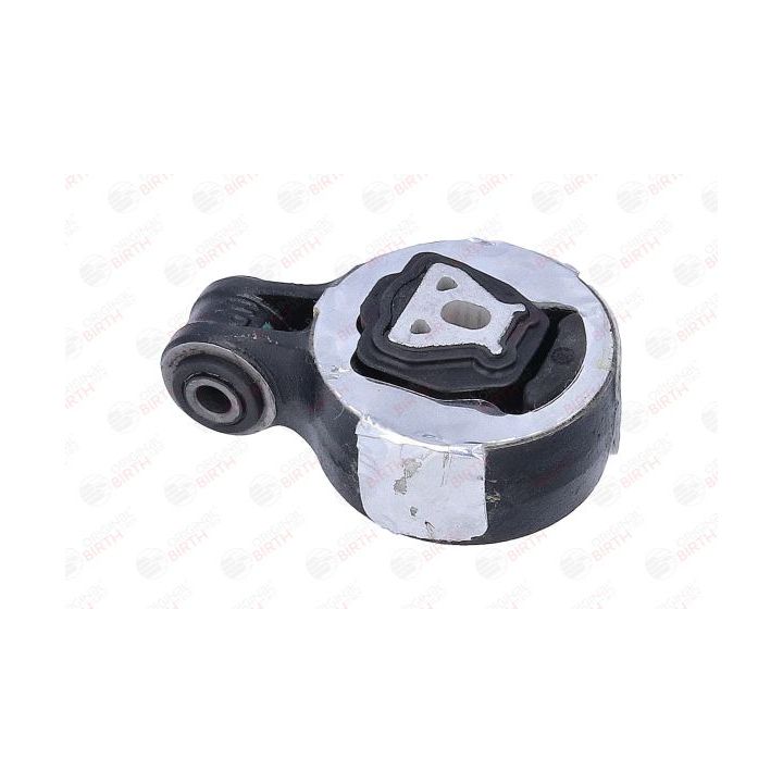 Variklio montavimas BIRTH 57073