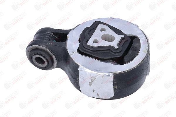 Variklio montavimas BIRTH 57073