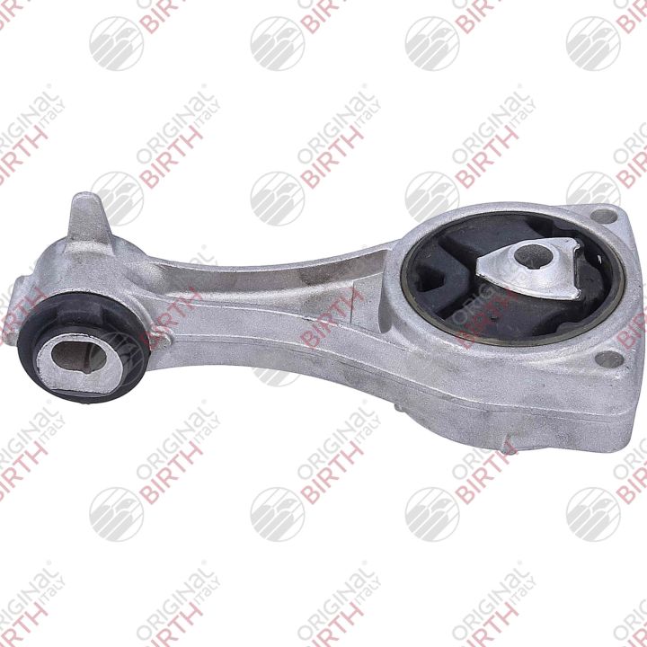 Variklio montavimas BIRTH 57077