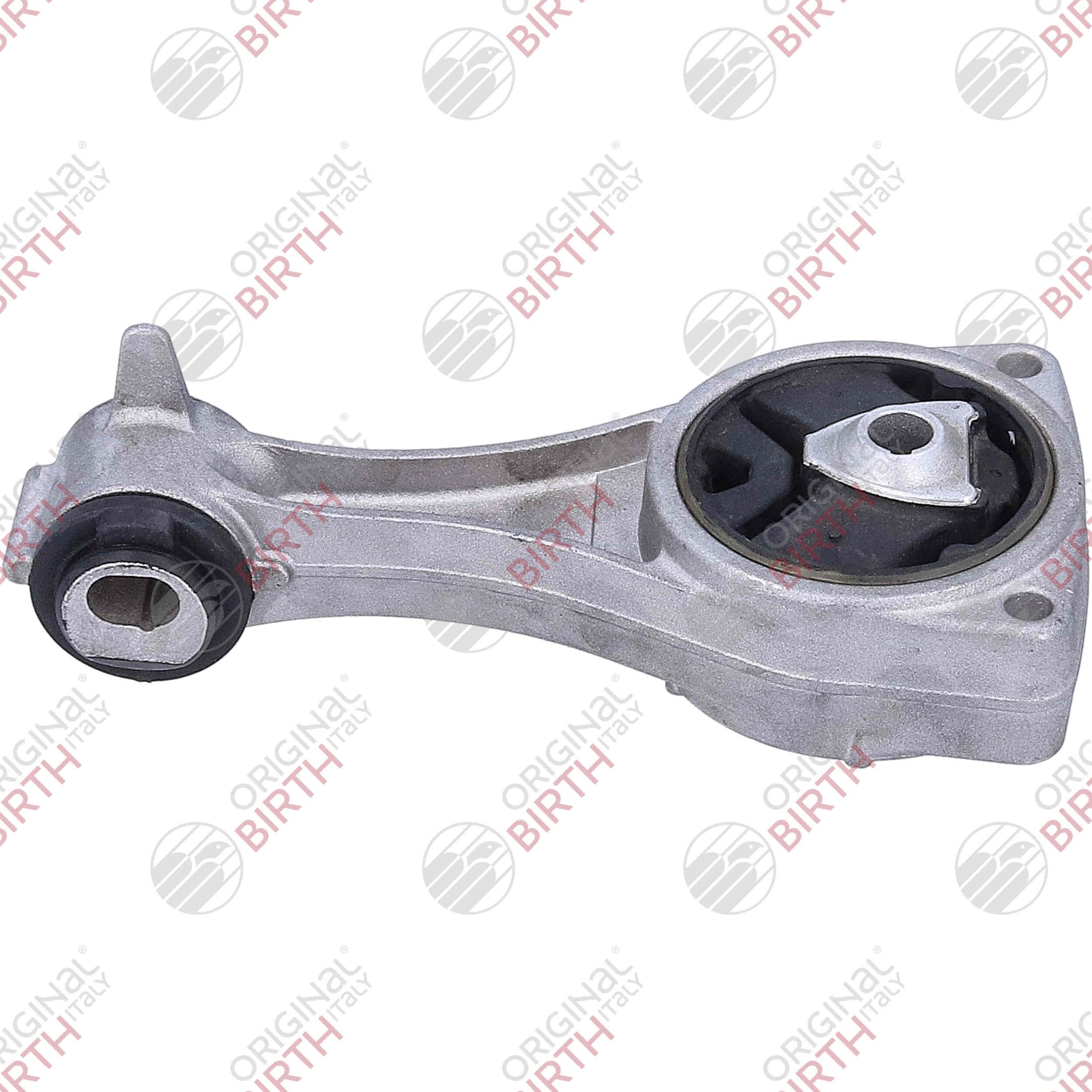 Variklio montavimas BIRTH 57077