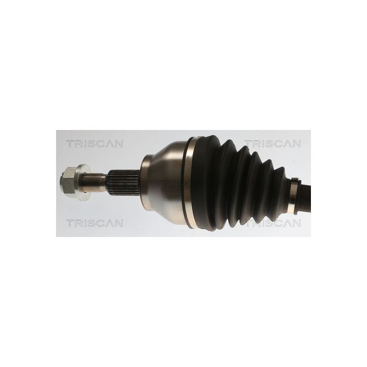 Pusašis TRISCAN 8540 16656