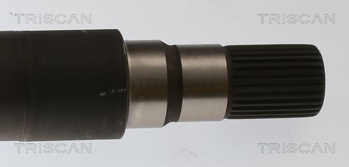 Pusašis TRISCAN 8540 16656