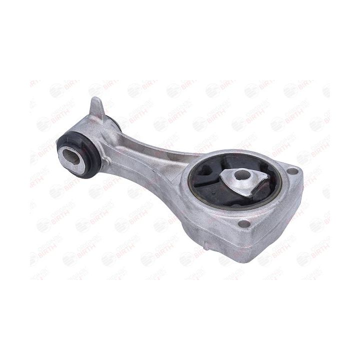 Variklio montavimas BIRTH 57077