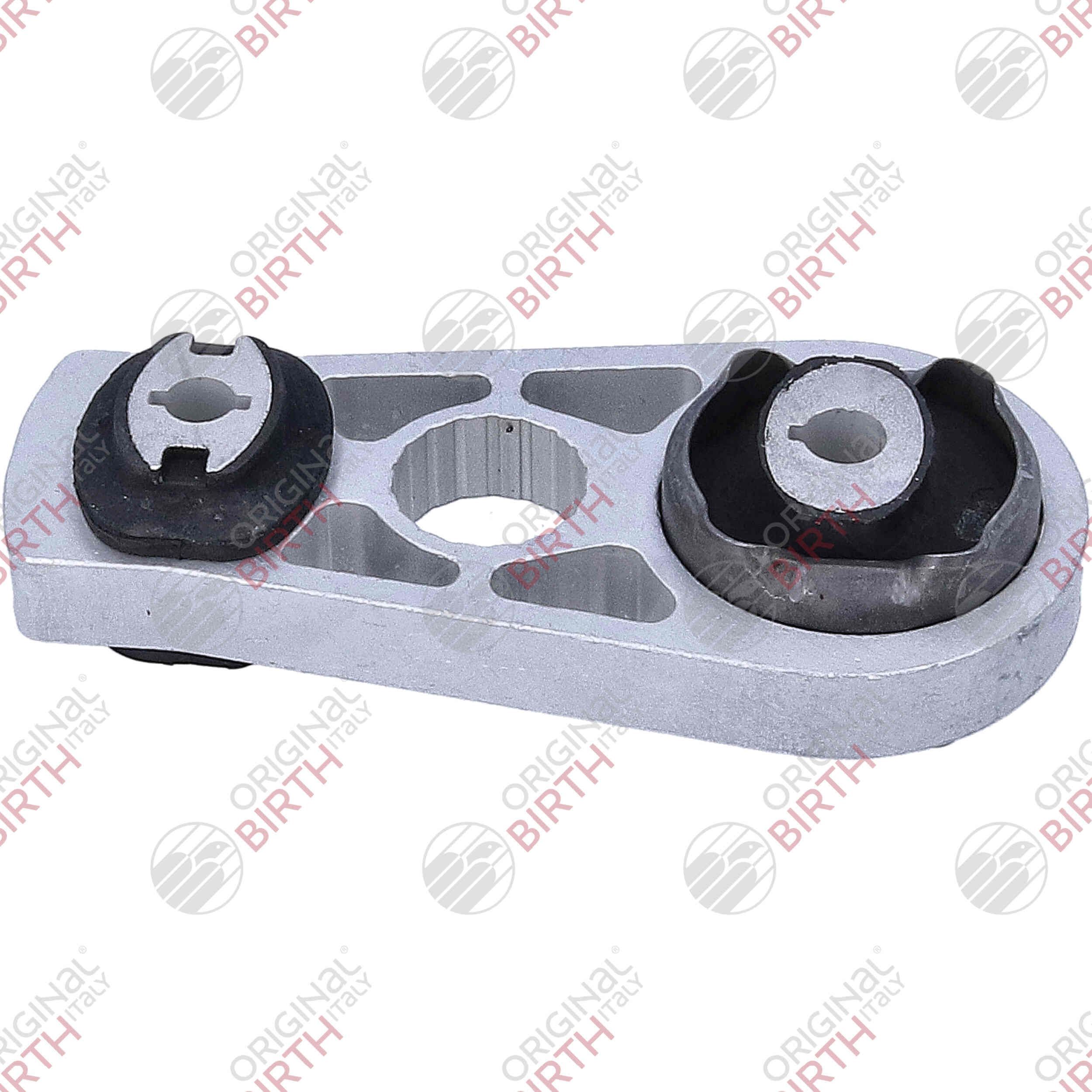 Variklio montavimas BIRTH 57078