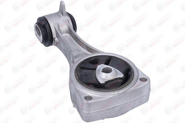 Variklio montavimas BIRTH 57077