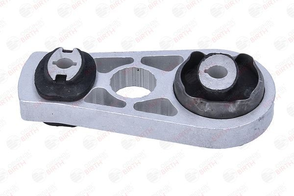 Variklio montavimas BIRTH 57078