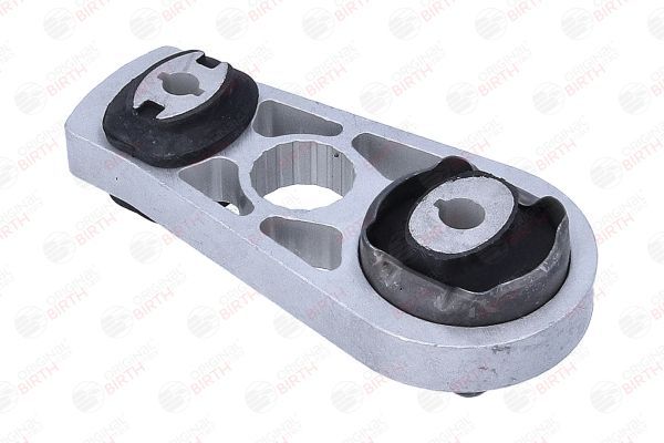 Variklio montavimas BIRTH 57078