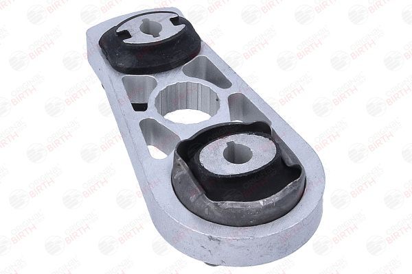 Variklio montavimas BIRTH 57078