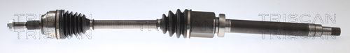Pusašis TRISCAN 8540 16658