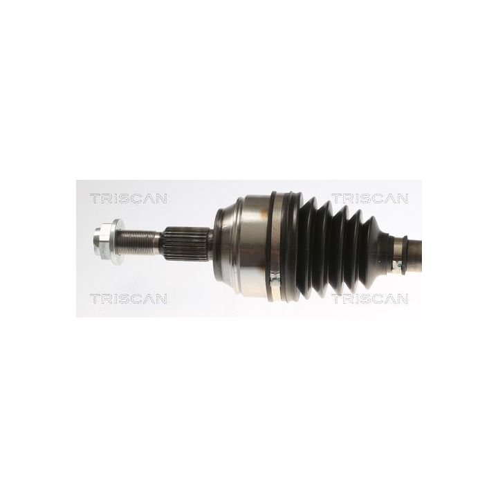 Pusašis TRISCAN 8540 16658