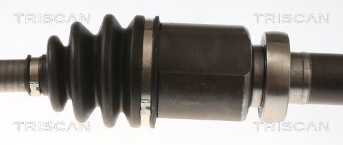 Pusašis TRISCAN 8540 16658