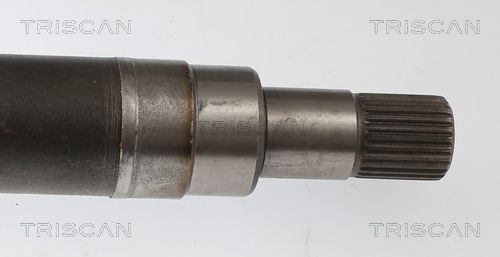 Pusašis TRISCAN 8540 16658