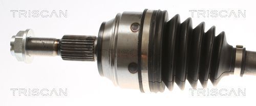 Pusašis TRISCAN 8540 16659