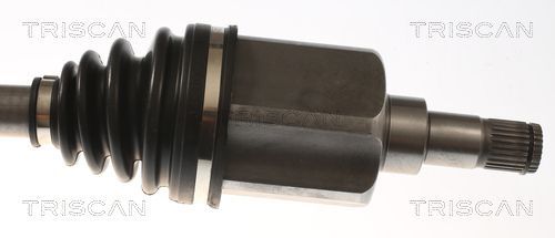 Pusašis TRISCAN 8540 16659